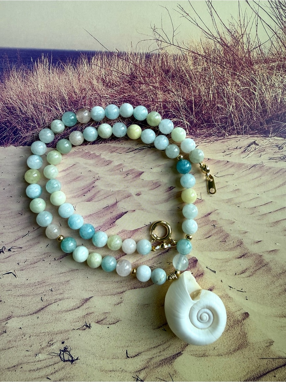 Seashell Necklace